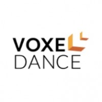 VoxelDance